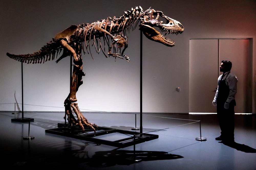 Dinosaurio