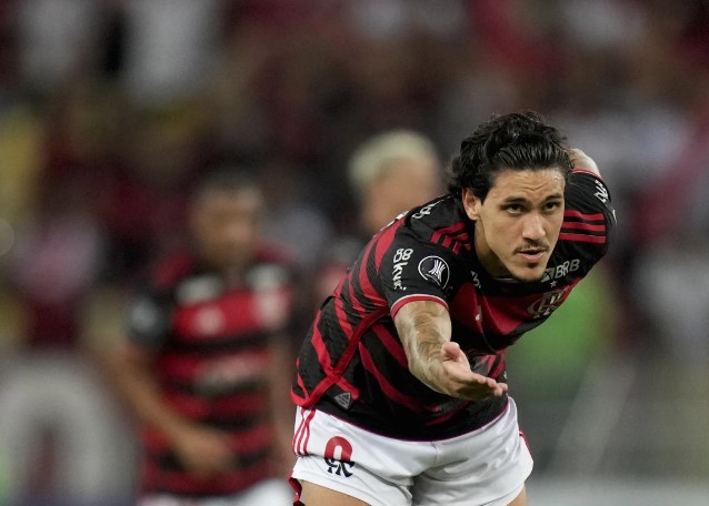 Pedro de Flamengo