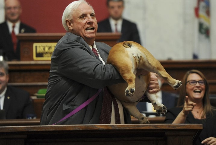 Virginia senado