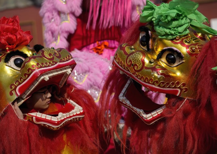 Serpiente asia